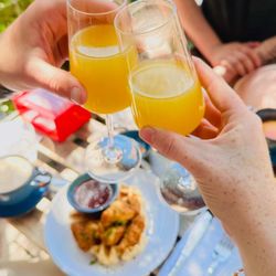 Madrone Bar + Kitchen - Wine and cider mimosas in the Madrone Wine Garden!