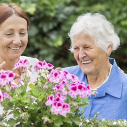 CSS Home Care
