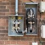 Photo of Tiger Strike Electric