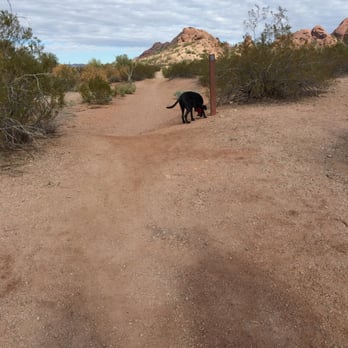 Papago Park Trails - Zoey enjoying Papago park - Hiking Near Me - Phoenix, Arizona Papago Park Trails - Zoey enjoying Papago park - Hiking Near Me - Phoenix, Arizona