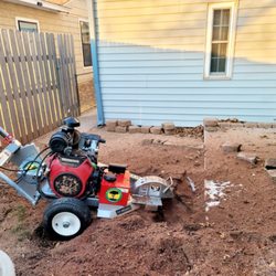 North Texas Tree Expert Company - Stump removal.