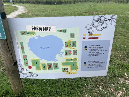 Larsen Lake Blueberry Farm by null