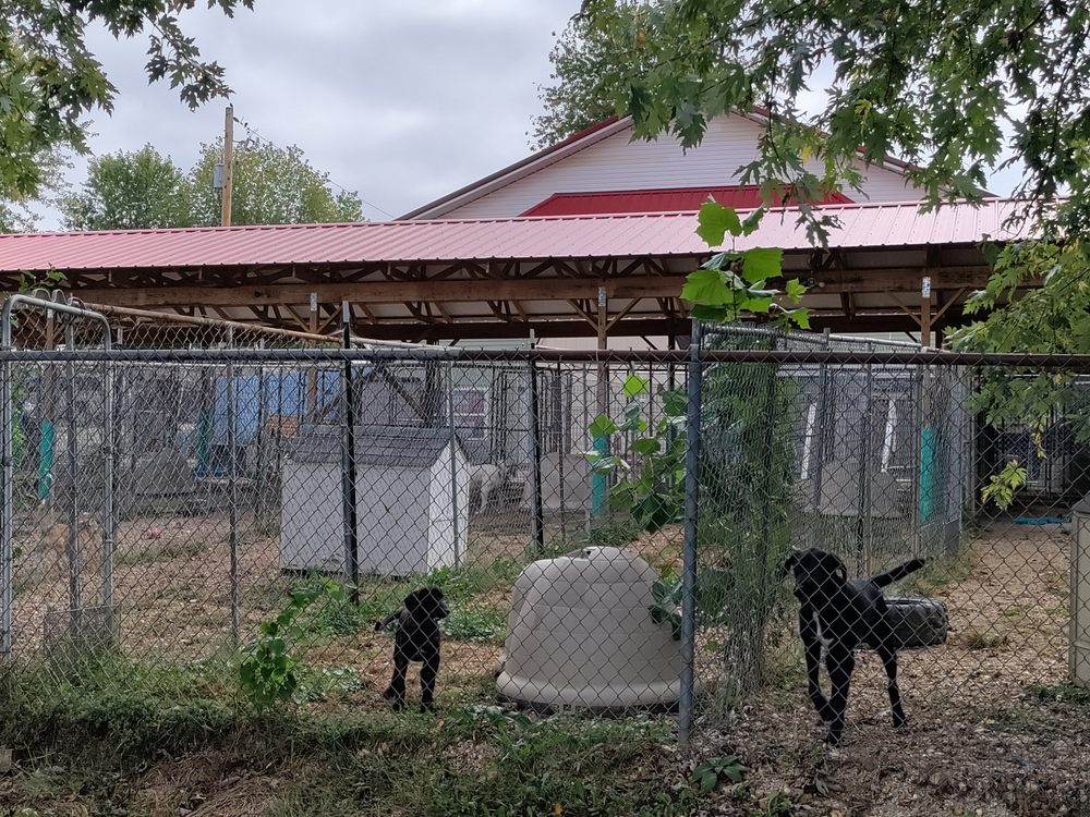 STOVER ANIMAL RESCUE Updated June 2024 Request Information 12