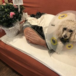 Photo of Yelp - San Francisco, CA, United States. on the mend !!! Thank you Dr Di Mayo XXOO