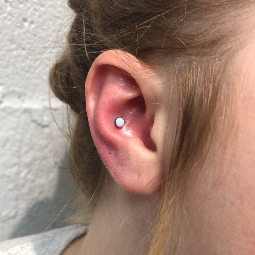 Evolved Body Art - Conch Piercing - Piercing Near Me - Columbus, Ohio Evolved Body Art - Conch Piercing - Piercing Near Me - Columbus, Ohio