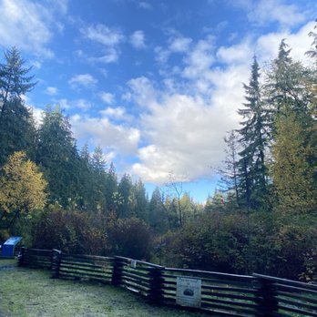 Mundy Park - Nov 2025 - Parks Near Me - Coquitlam, British Columbia Mundy Park - Nov 2025 - Parks Near Me - Coquitlam, British Columbia