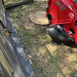 Silver Tree Care  - Stump grinder ( before)