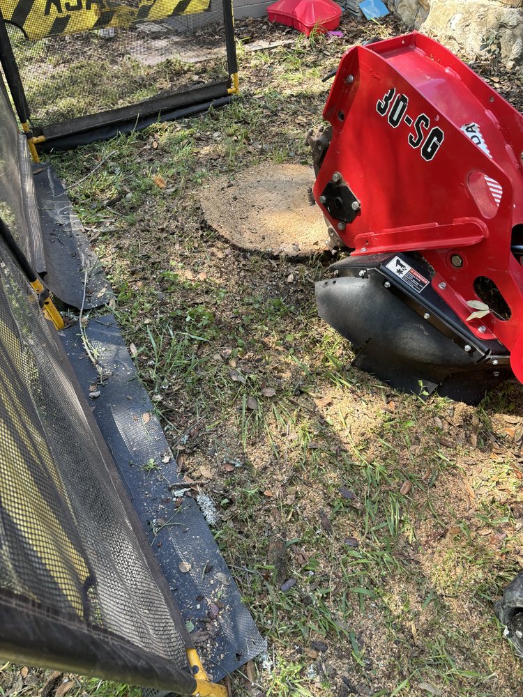 Silver Tree Care - tree service in Austin, TX