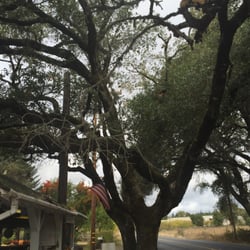 Grace's Oak Tree Fruit Stand