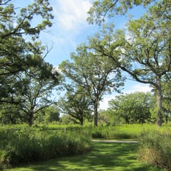 Sandhill Station State Campground - View from campsite