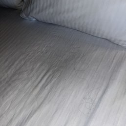 Hair found on bed in second room assigned.