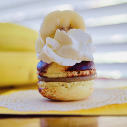 The Macaroonist - The Most Amazing Macarons!