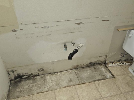 Mold Remediation - Customer found mold behind their washer machine. We are trained in removal and remediation of mold. It's important to have a professional properly handle mold to reduce the risk of secondary damage or health issues. Mold Remediation - Customer found mold behind their washer machine. We are trained in removal and remediation of mold. It's important to have a professional properly handle mold to reduce the risk of secondary damage or health issues.