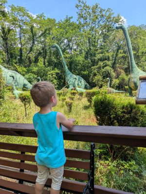 Dinosaur World by null