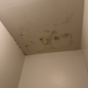 Stone Gate Apartments - Original mold issue - Apartments Near Me - Marlborough, Massachusetts