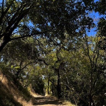 Almaden Quicksilver County Park - Shade - Parks Near Me - San Jose, California Almaden Quicksilver County Park - Shade - Parks Near Me - San Jose, California
