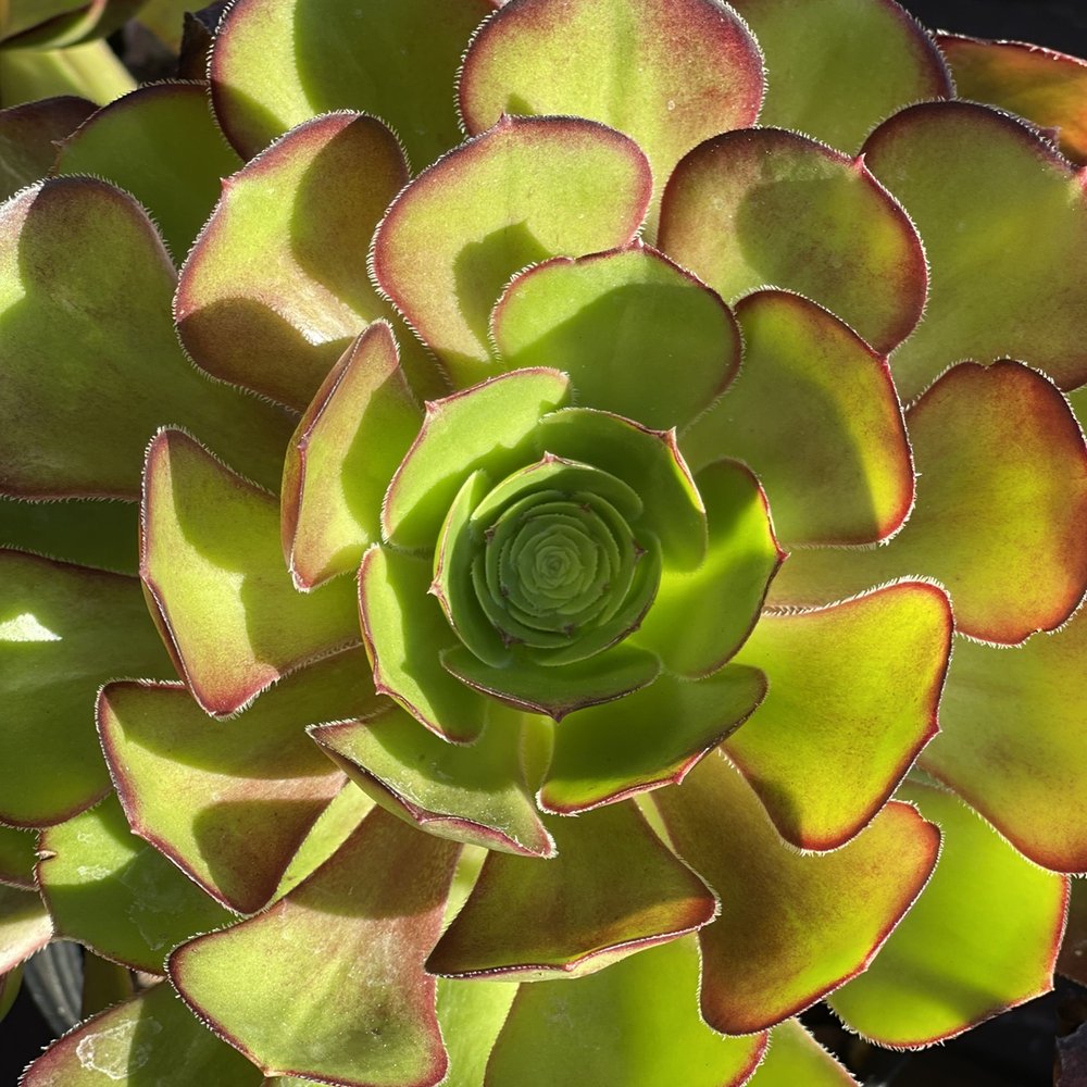 Armstrong Garden Centers - Nurseries & Gardening Near Me - Temecula, California