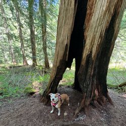 Burnt Lake Trail