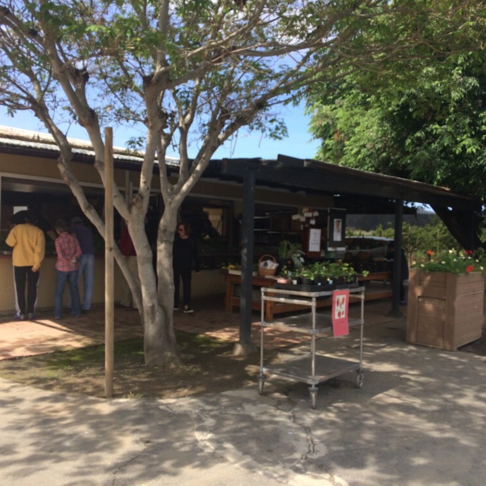 Chino Farm - Fruits & Veggies Near Me - Rancho Santa Fe, California