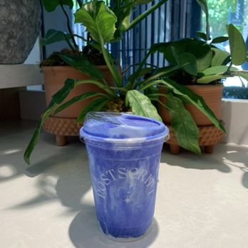 Postscript - Marine Layer Smoothie - Coffee Roasteries Near Me - San Francisco, California