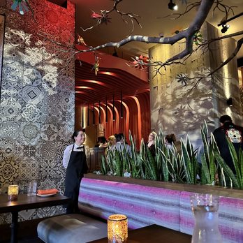 Mi Vida - Decor - Mexican Near Me - Washington, DC, District of Columbia Mi Vida - Decor - Mexican Near Me - Washington, DC, District of Columbia