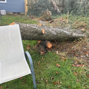 Strobert Tree Services - Photos I sent to prove the tree logs had not been removed after Wanda said the work was done. - Tree Services Near Me - Wilmington, Delaware Strobert Tree Services - Photos I sent to prove the tree logs had not been removed after Wanda said the work was done. - Tree Services Near Me - Wilmington, Delaware