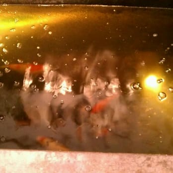 Allegorie - Koi! - Wine Tasting Room Near Me - Murphys, California