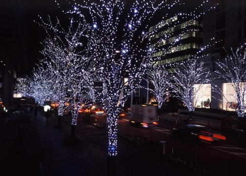 Slide of Mckinney Christmas Lights