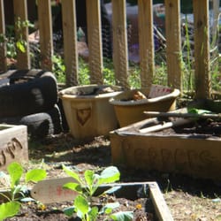Seedlings Preschool - Small garden spot