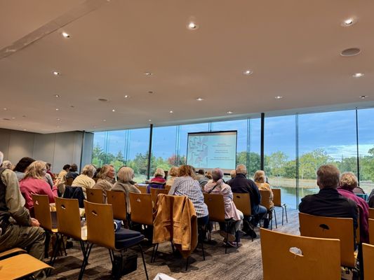 Conifer Walk by null