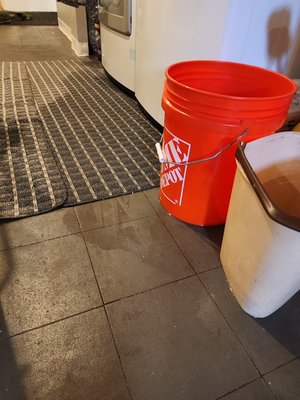 Leggy Plumbing & Heating Logo