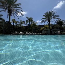 Morrison Pools