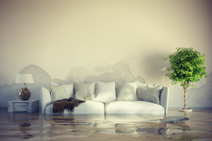 Slide of DynoDry Roofing & Construction Services