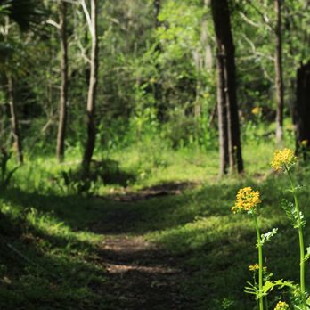 Alderman's Ford Park - Parks Near Me - Lithia, Florida