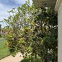 Photo of American Knight Roof & Exterior Cleaning