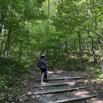 Sleeping Bear Dunes National Lakeshore - Trail up to Pyramid Point 1.2 miles to the bluff and back. There is a longer loop trail. - Parks Near Me - Empire, Michigan