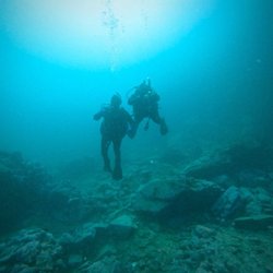 Dolphin Scuba Center