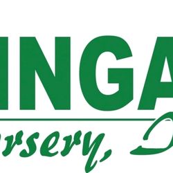 Tinga Nursery