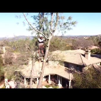 Rios Mauro Tree Service - Tree Services Near Me Rios Mauro Tree Service - Tree Services Near Me