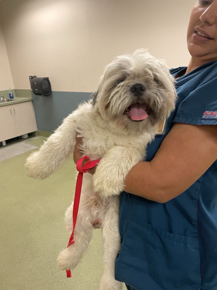 MORENO VALLEY ANIMAL SERVICES 14041 Elsworth St, Moreno Valley