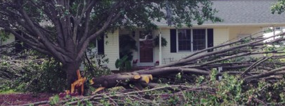 Slide of Exterior Specialists