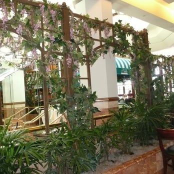 Nello Cucina photo 2