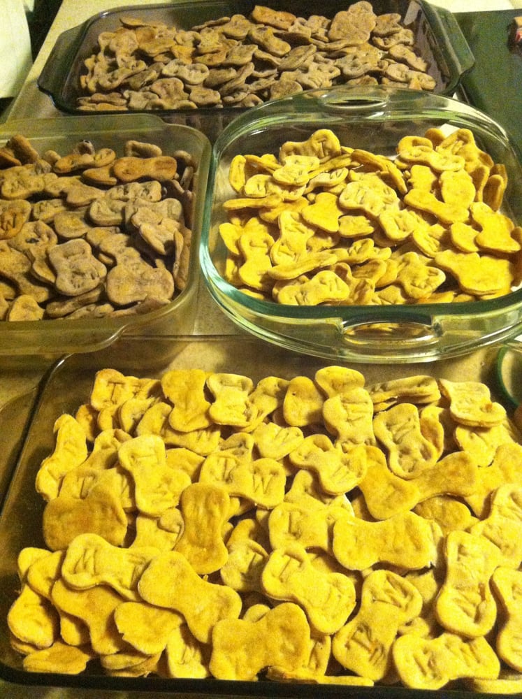 Tail Wagging Treats Image