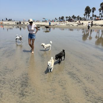 Ocean Beach Dog Beach - Beaches Near Me - San Diego, California