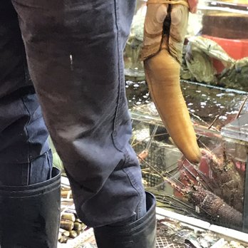 西貢全記海鮮酒家 - Geoduck - Seafood Near Me - Hong Kong, HK