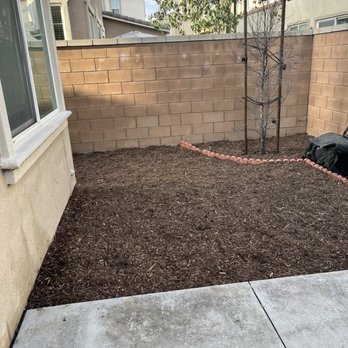 CM Landscaping Services - Tree Services Near Me