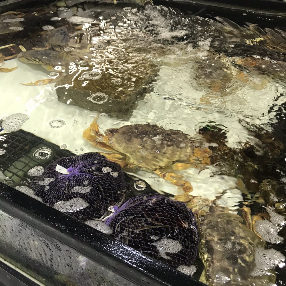 Fusion Supermarket - Seafood - Grocery Near Me - Scarborough, Ontario Fusion Supermarket - Seafood - Grocery Near Me - Scarborough, Ontario