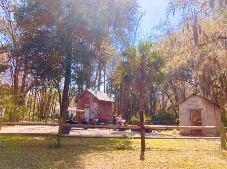 Silver Dew Winery - vineyard in Daufuskie Island, SC