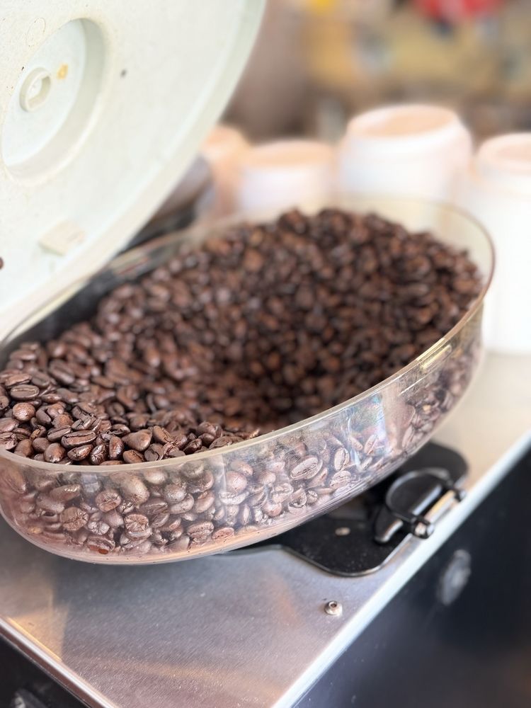 Dazbog Coffee Logo