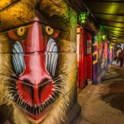 Okupa - Grafitti street